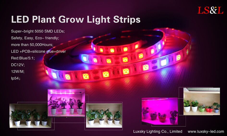 Nuevos desarrollos en planta las plantas y su iluminación LED